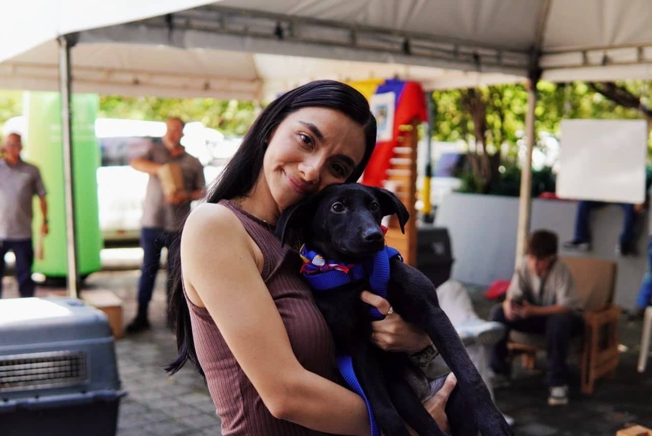 39 perros y 32 gatos encontraron un nuevo hogar gracias a la Adoptatón Mundialista de La Perla