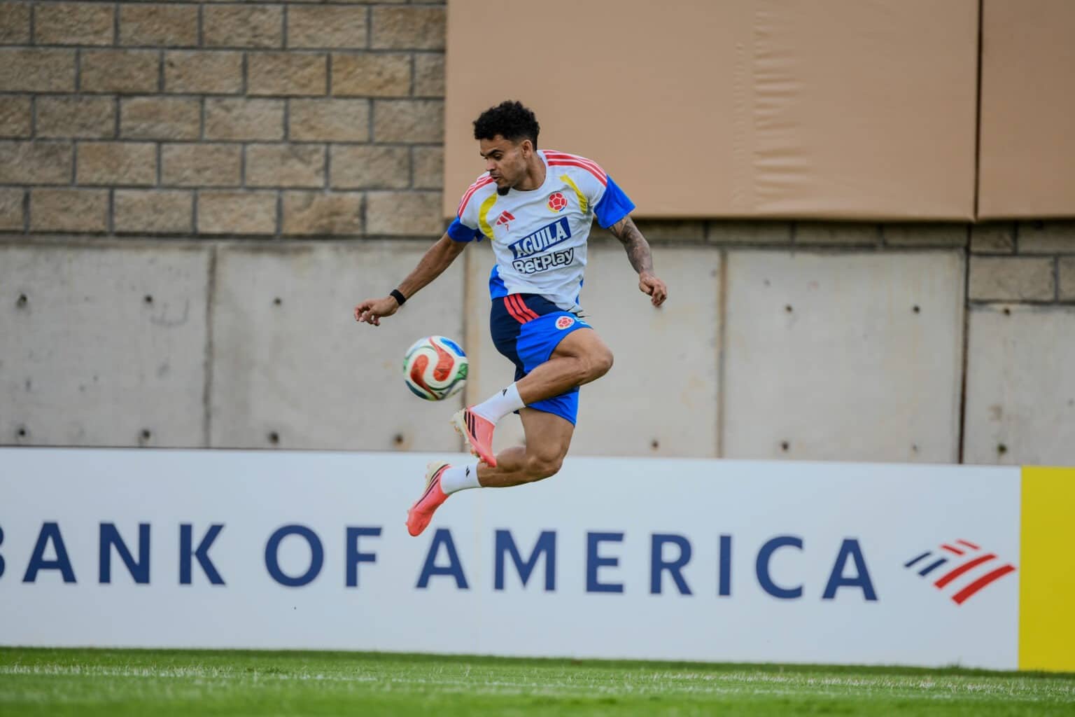 ¿Cómo llega Luis Díaz para afrontar el segundo partido del Mundial ante Congo?
