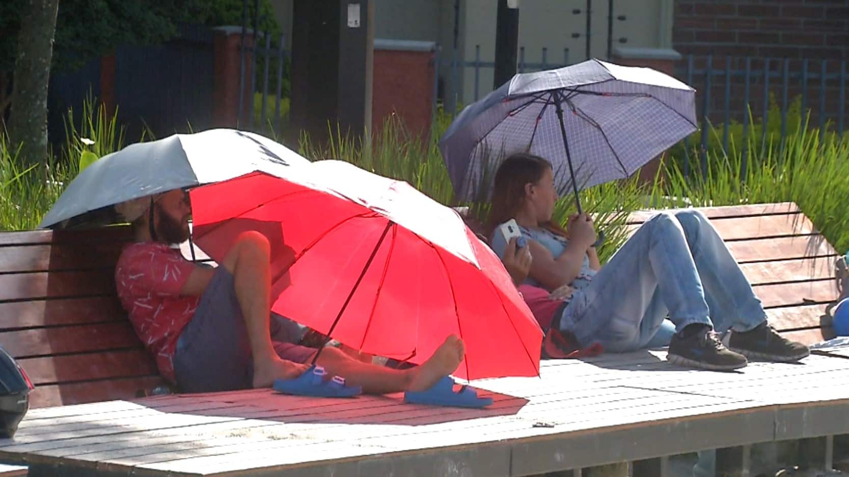 El calor puede pasarle factura a su salud: estas son las enfermedades que más aumentan
