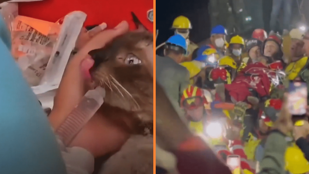 Esperanza en medio de la tragedia: sobrevivientes de los terremotos en Venezuela