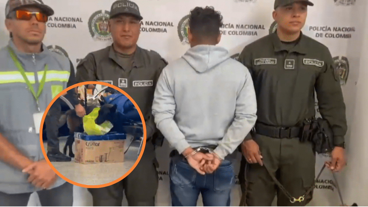 Captura de hombre que transportaba partes de iguana en la Terminal del Norte de Medellín