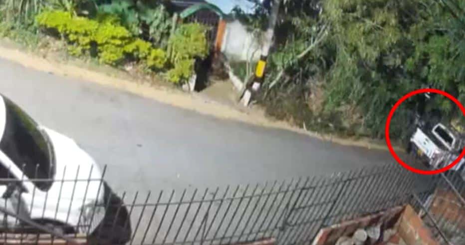 Indignación por policía que habría atropellado un perro y presuntamente lo dejó a un lado de la vía sin auxiliarlo