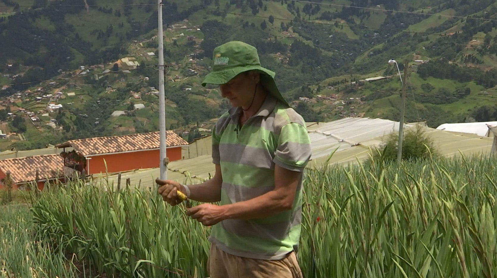 Jhonatan encontró en el campo su proyecto de vida y hoy sostiene a tres familias con sus cultivos en San Cristóbal