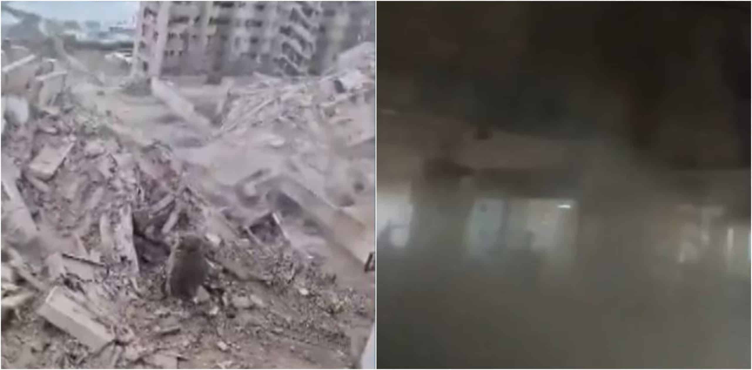Las historias y los testimonios de los venezolanos afectados por el sismo