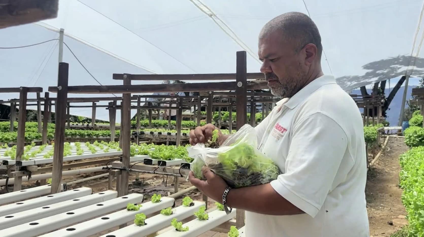 Medellín celebra el Día del Campesino y reconoce el aporte de quienes alimentan la ciudad