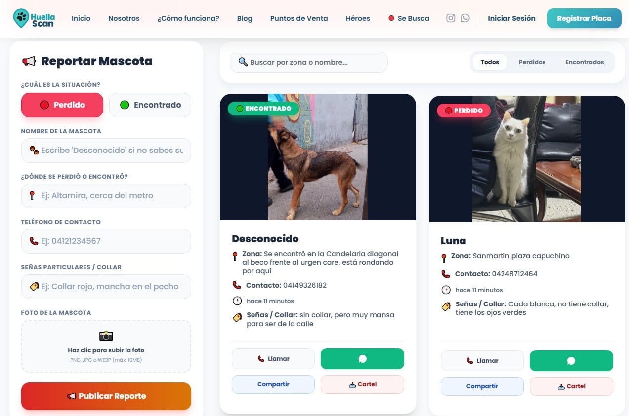 Crean plataforma para reportar mascotas perdidas tras los terremotos en Venezuela