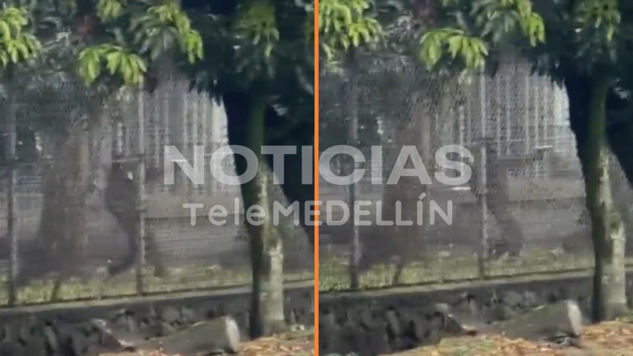 Disturbios en la Universidad de Antioquia: Capturas y acciones policiales