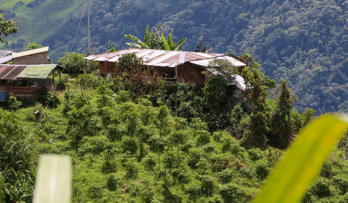 Persisten alertas en Antioquia por riesgo electoral