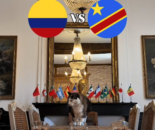 Nimbus Pronos, el gatito predictor del Mundial 2026, ya dio su pronósnico para el partido de Colombia vs. RD Congo