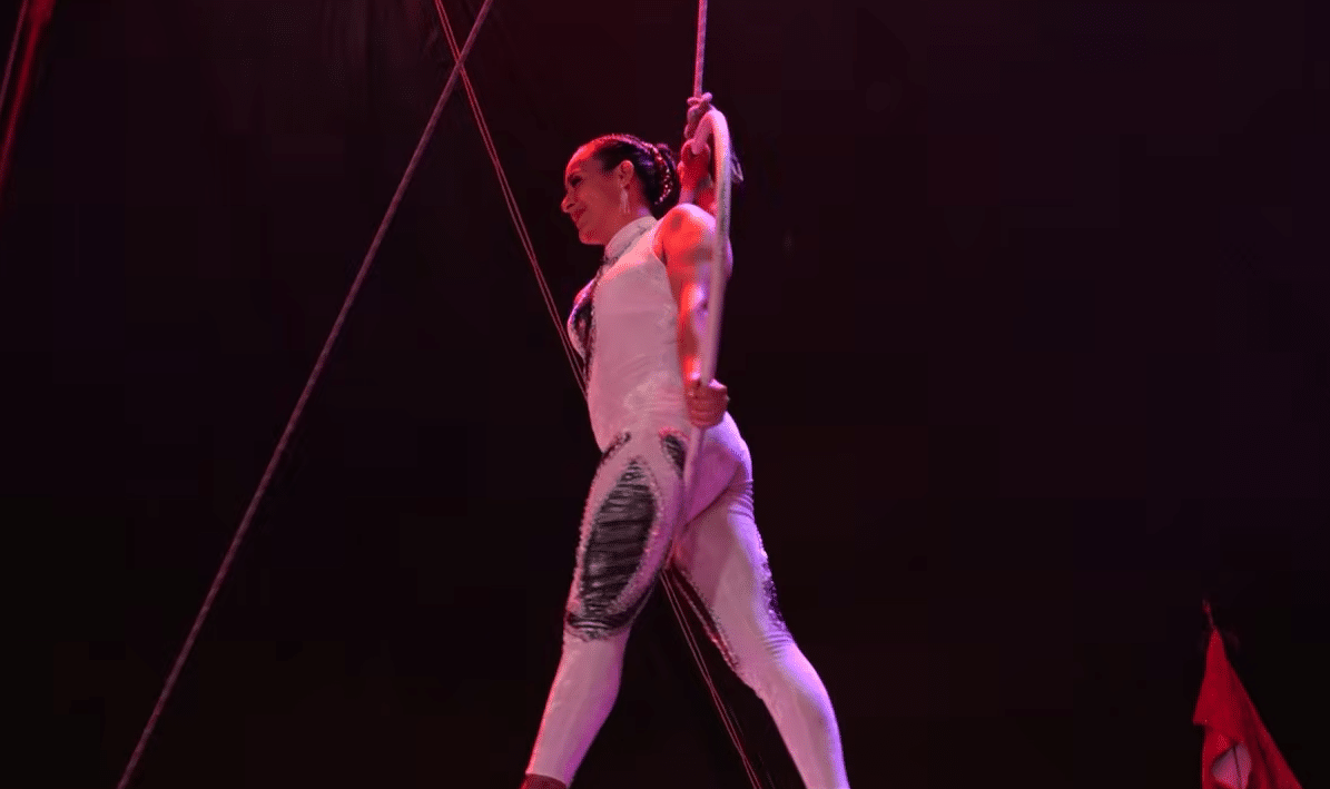 Medellín celebra la tradición circense con la edición 15 del Festival de Circos: esta es la programación