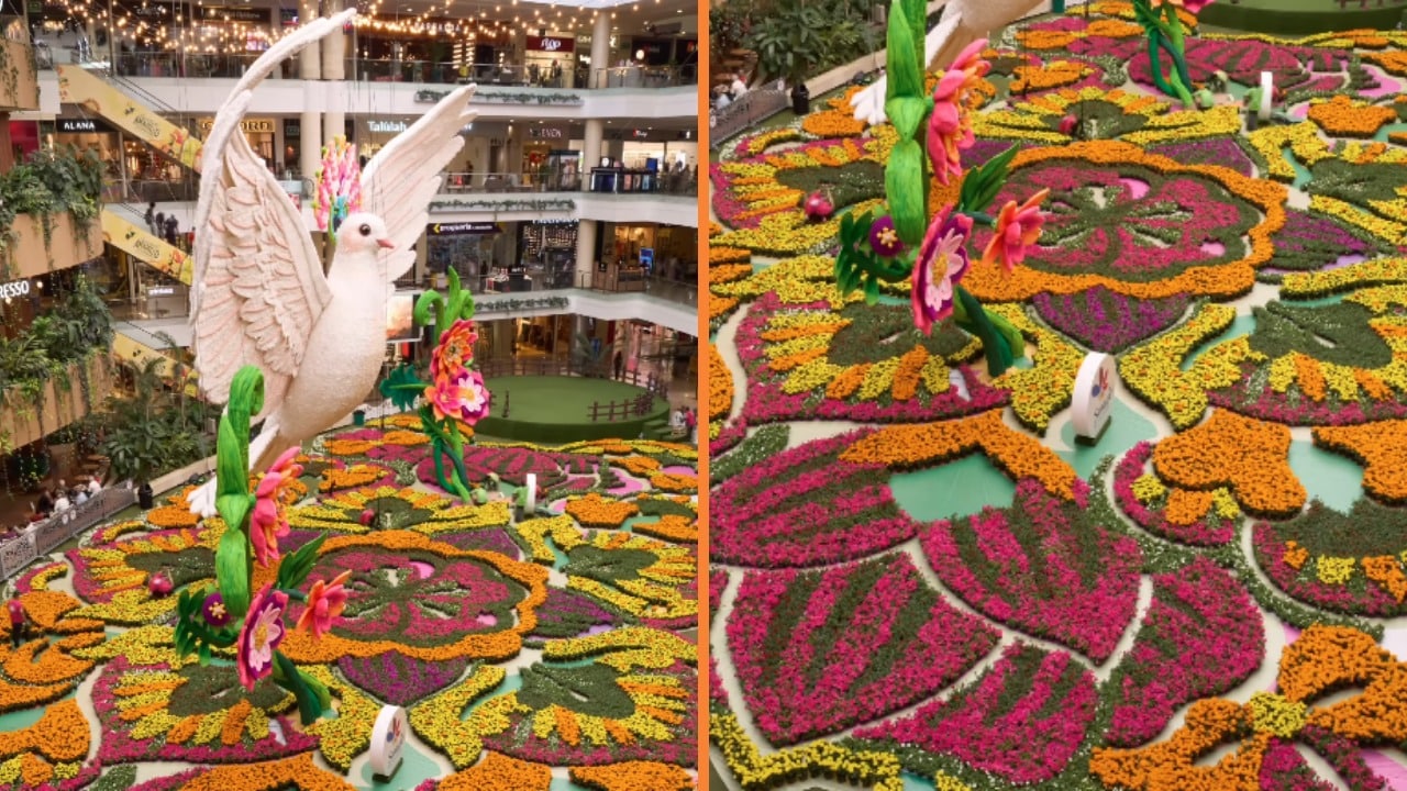 El tapete de flores del centro comercial Santa Fe se prepara para la Feria de las Flores 2026