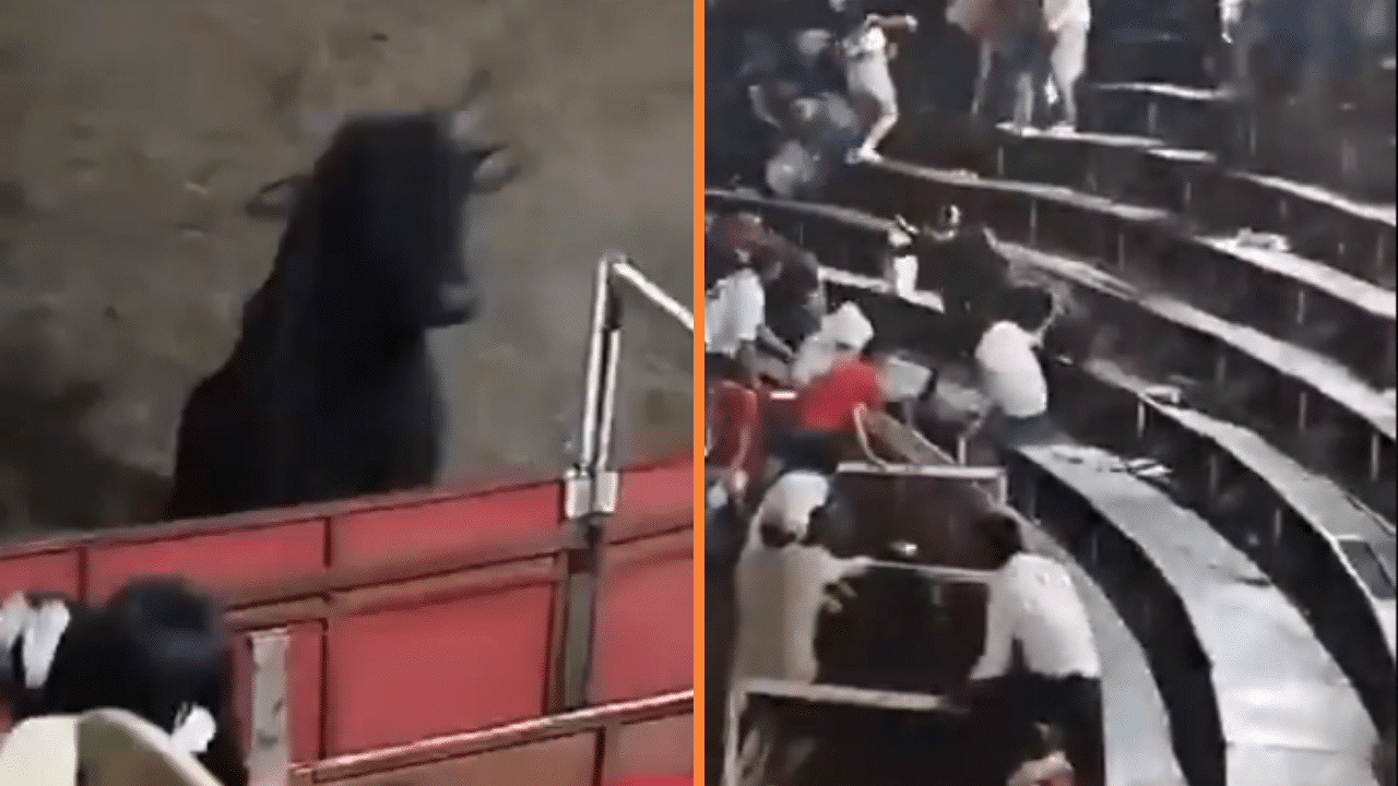 Toro saltó a las graderías durante una corraleja en Tolima y dejó varios asistentes heridos