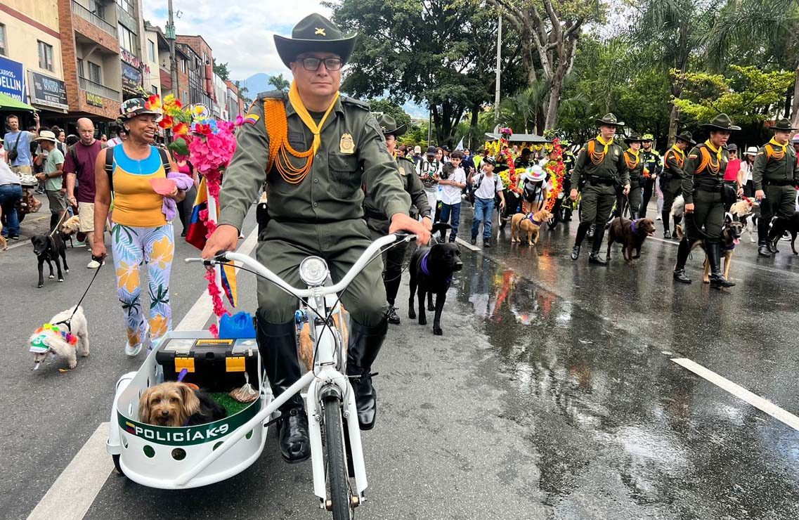 Medellín se prepara para la Caminata Canina 2026