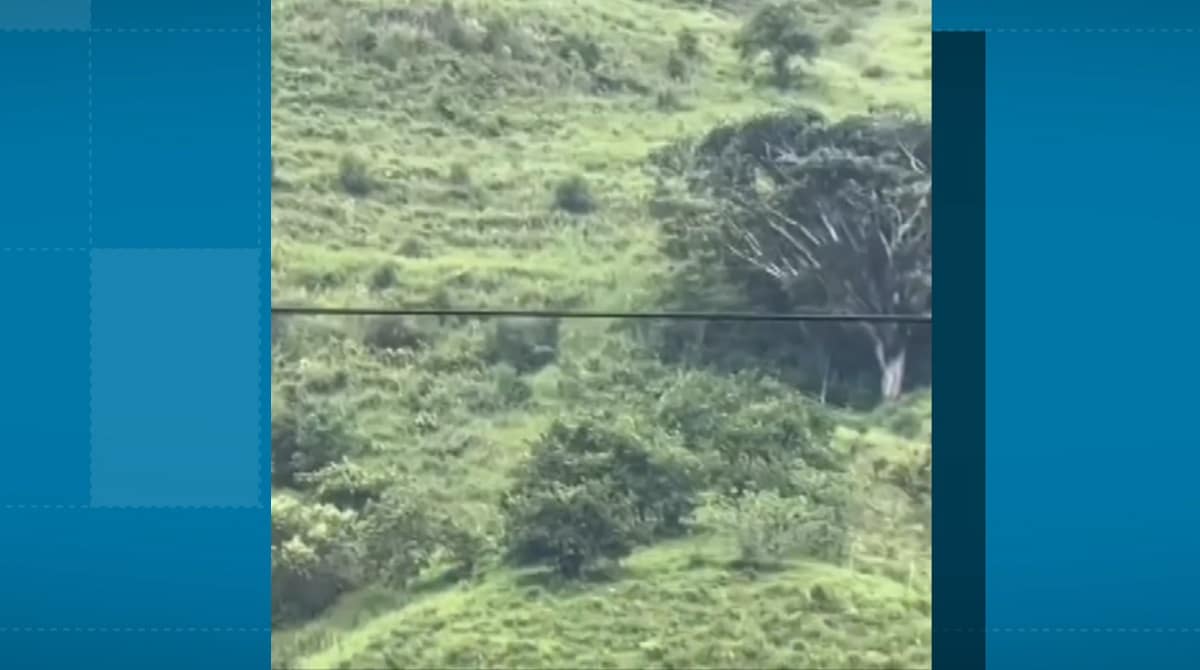 Desplazamiento en Tarazá por combates entre el Clan del Golfo y el ELN