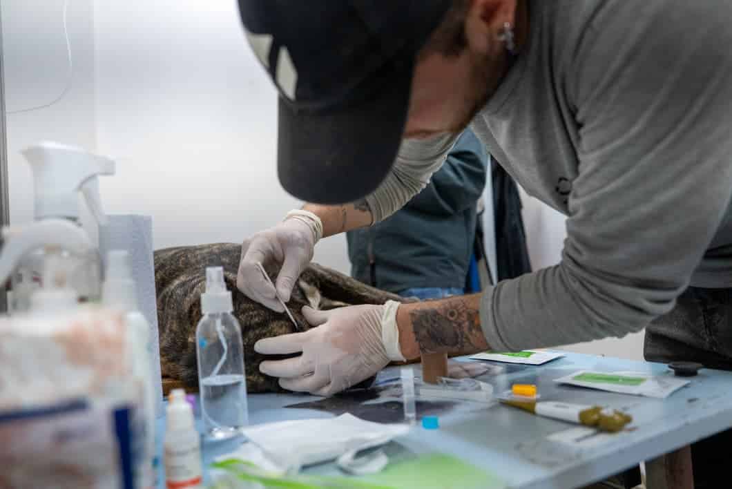 Área Metropolitana del Valle de Aburrá llegó hasta Cali para ayudar a las mascotas afectadas por el sismo