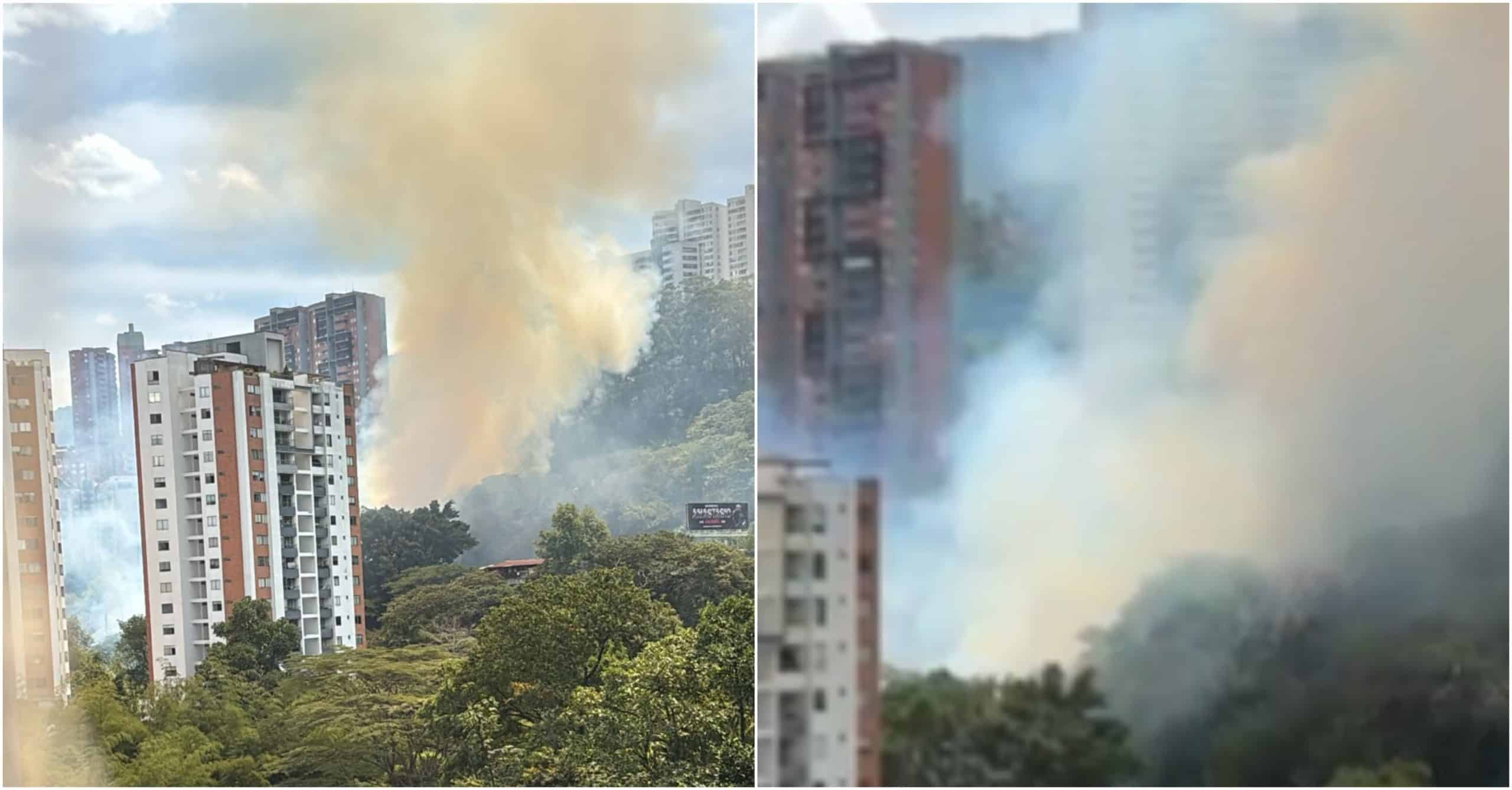 Atienden incendio forestal en Las Palmas que se presentó durante la mañana