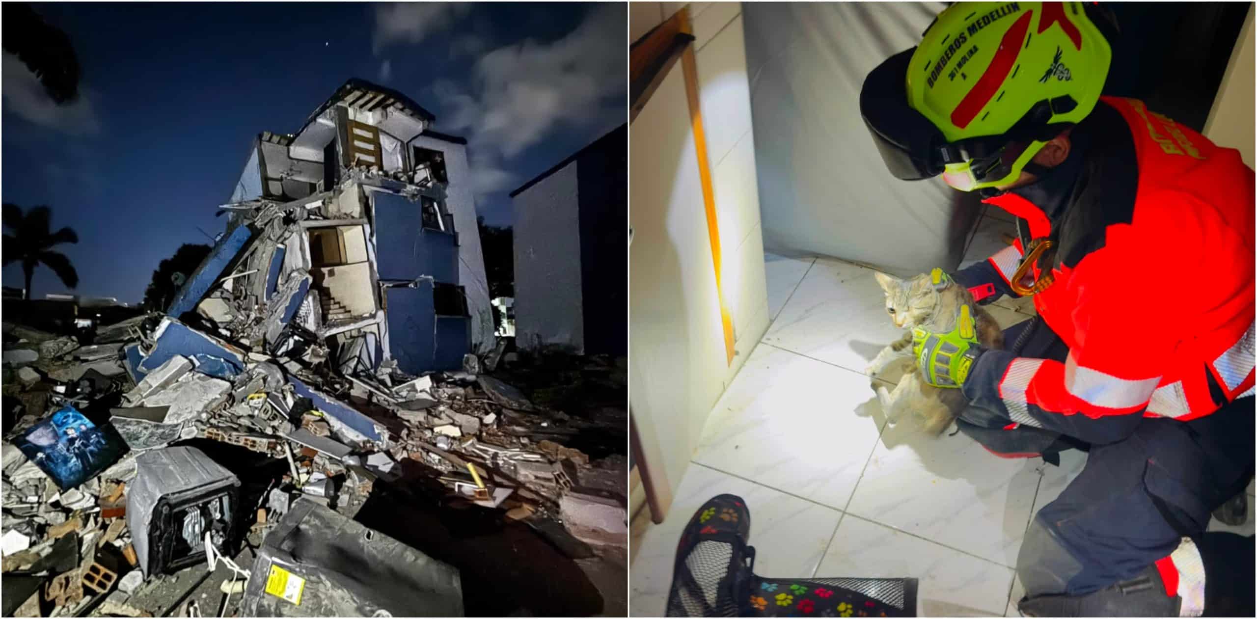 Bomberos Medellín rescata gatico en medio de los escombros en Pereira
