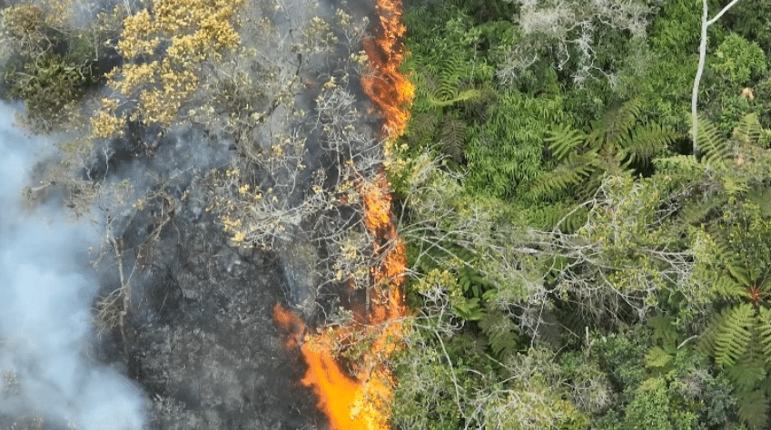 Desde el anuncio del fenómeno de El Niño han ocurrido más de 50 incendios en el Oriente antioqueño
