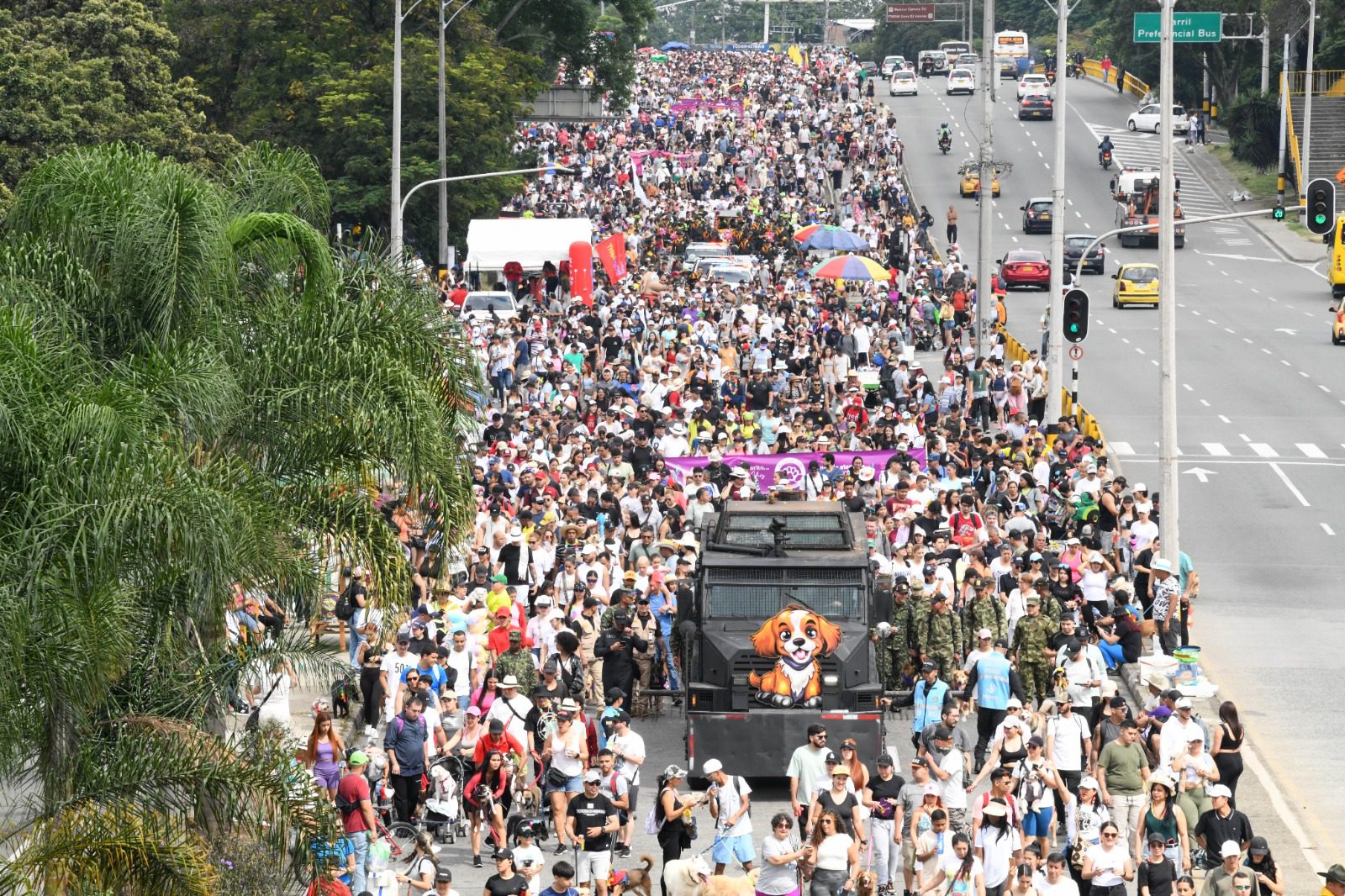 EN VIVO | Vea la Caminata Canina y de Mascotas en la Feria de las Flores 2026