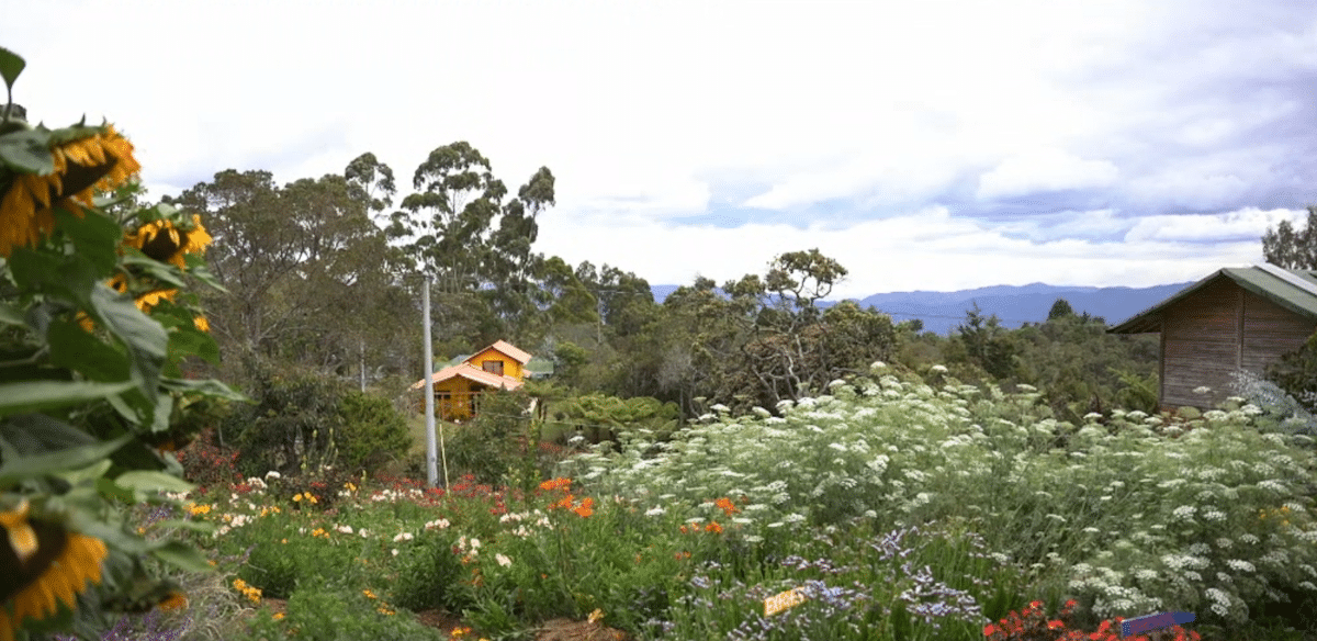 Fincas silleteras de Santa Elena, lugar donde se cultiva la magia de la tradición paisa