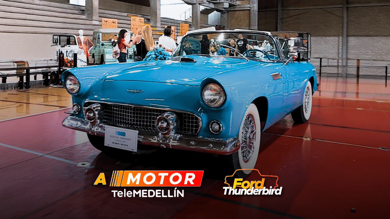 El Ford Thunderbird nació en 1955 para competir con el Corvette y terminó convertido en uno de los grandes íconos del automovilismo.