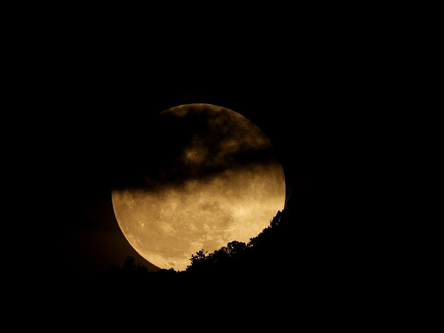 ¡Hermoso! Así se vio el eclipse parcial de Luna Roja desde Medellín