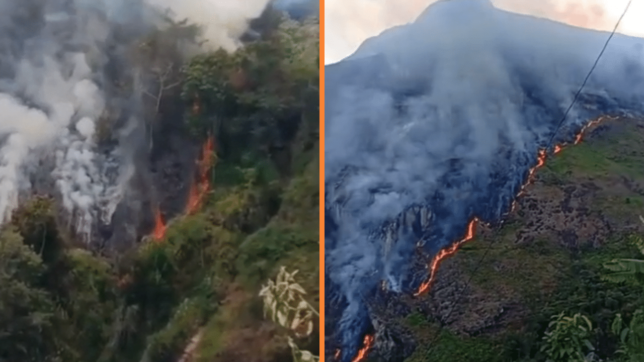 Incendio forestal afecta el hotel La Casa en el Aire en Abejorral