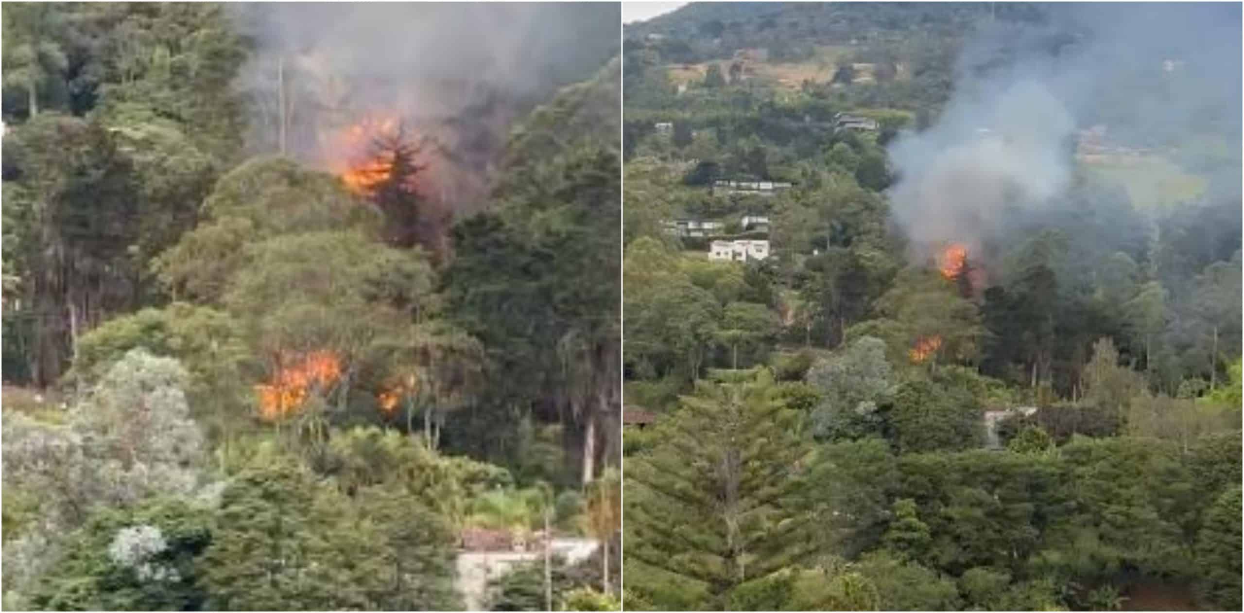 Incendio afectó zona boscosa y una cabaña de madera en El Poblado