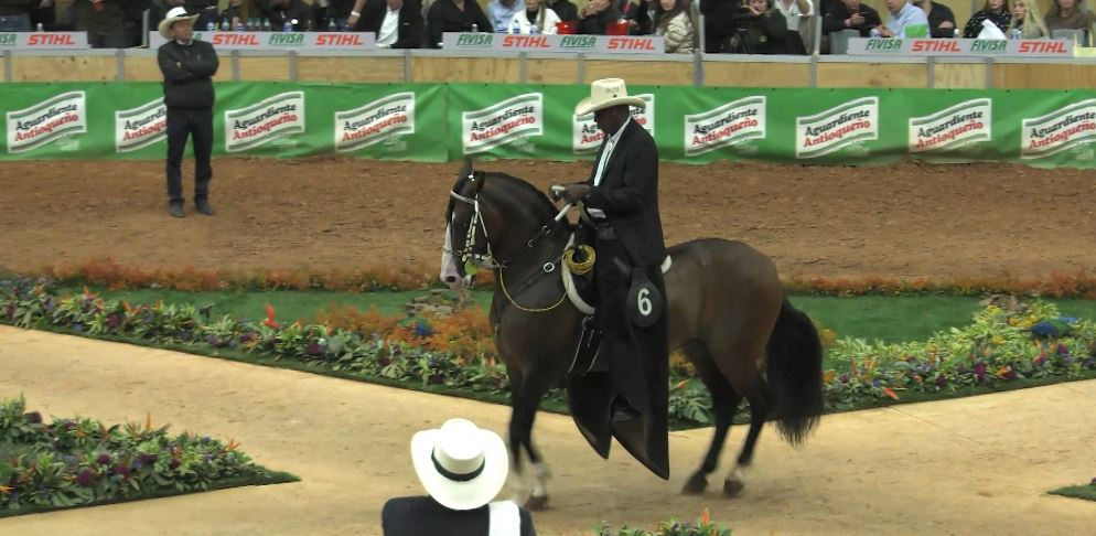 La increíble muestra de caballos que estará en Medellín durante la feria