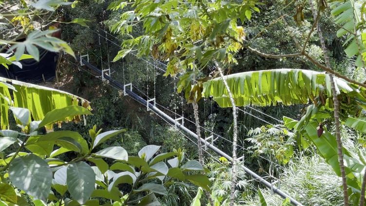 Nuevo acueducto aéreo beneficiará a más de tres mil personas en Medellín
