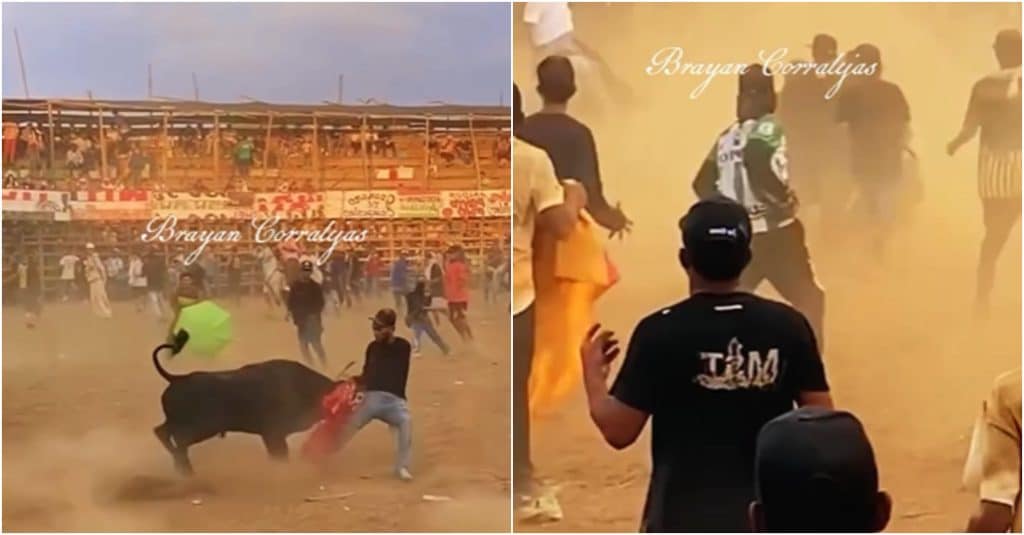 Fallece hombre tras ser embestido por un toro en corralejas de Caucasia