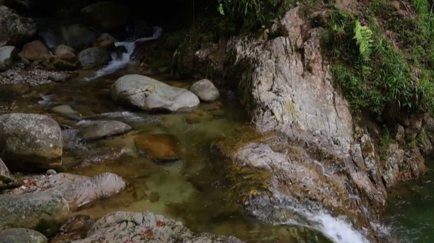 Niño murió ahogado en charco de San Rafael mientras disfrutaba con su familia