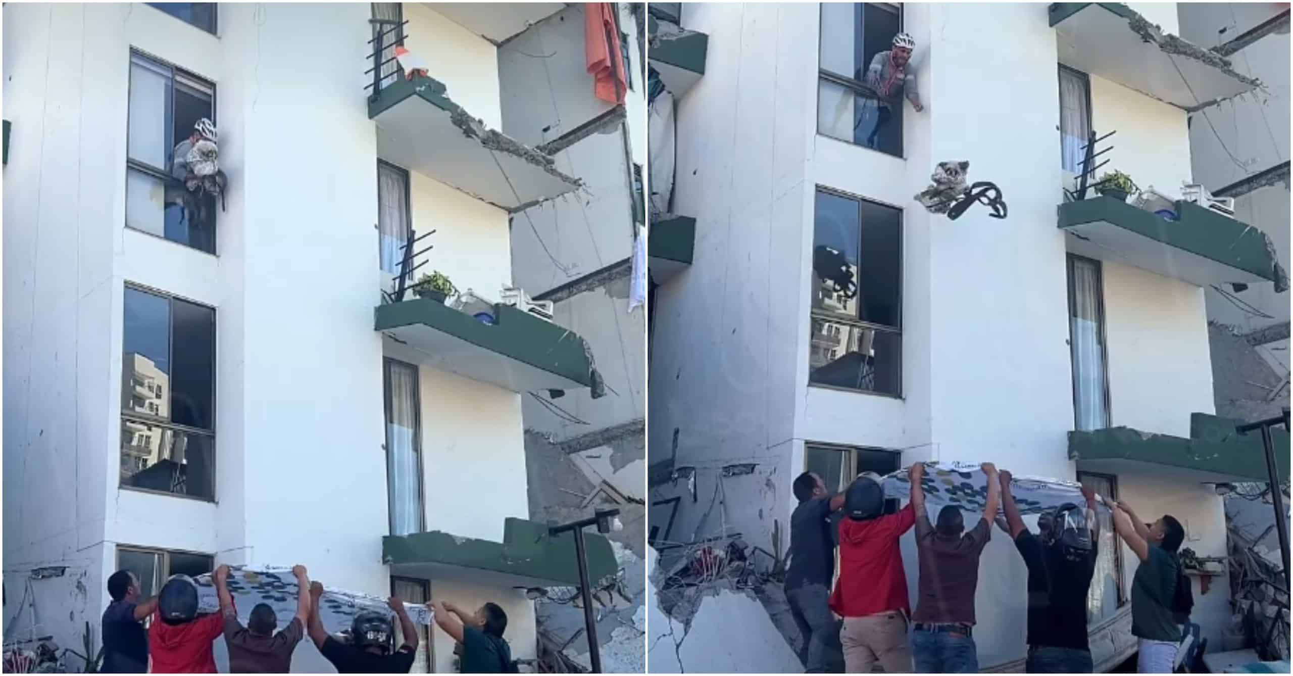 Rescate de un perrito atrapado en un piso alto en Pereira se vuelve viral