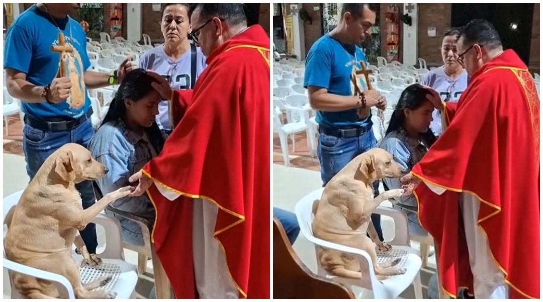 Simón, el perrito que acompañó a un sacerdote de Villavicencio durante una oración y conmovió en redes sociales