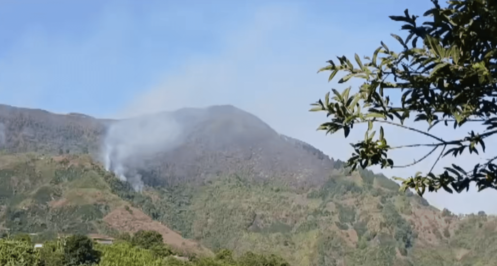 Incendios en Antioquia: una estrategia criminal para el control territorial