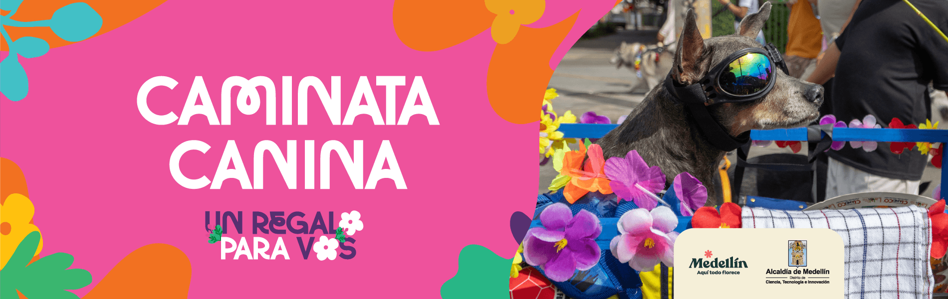 Banner de la Caminata Canina de la Feria de las Flores, con un perro usando gafas protectoras en un coche decorado con flores y la campaña 