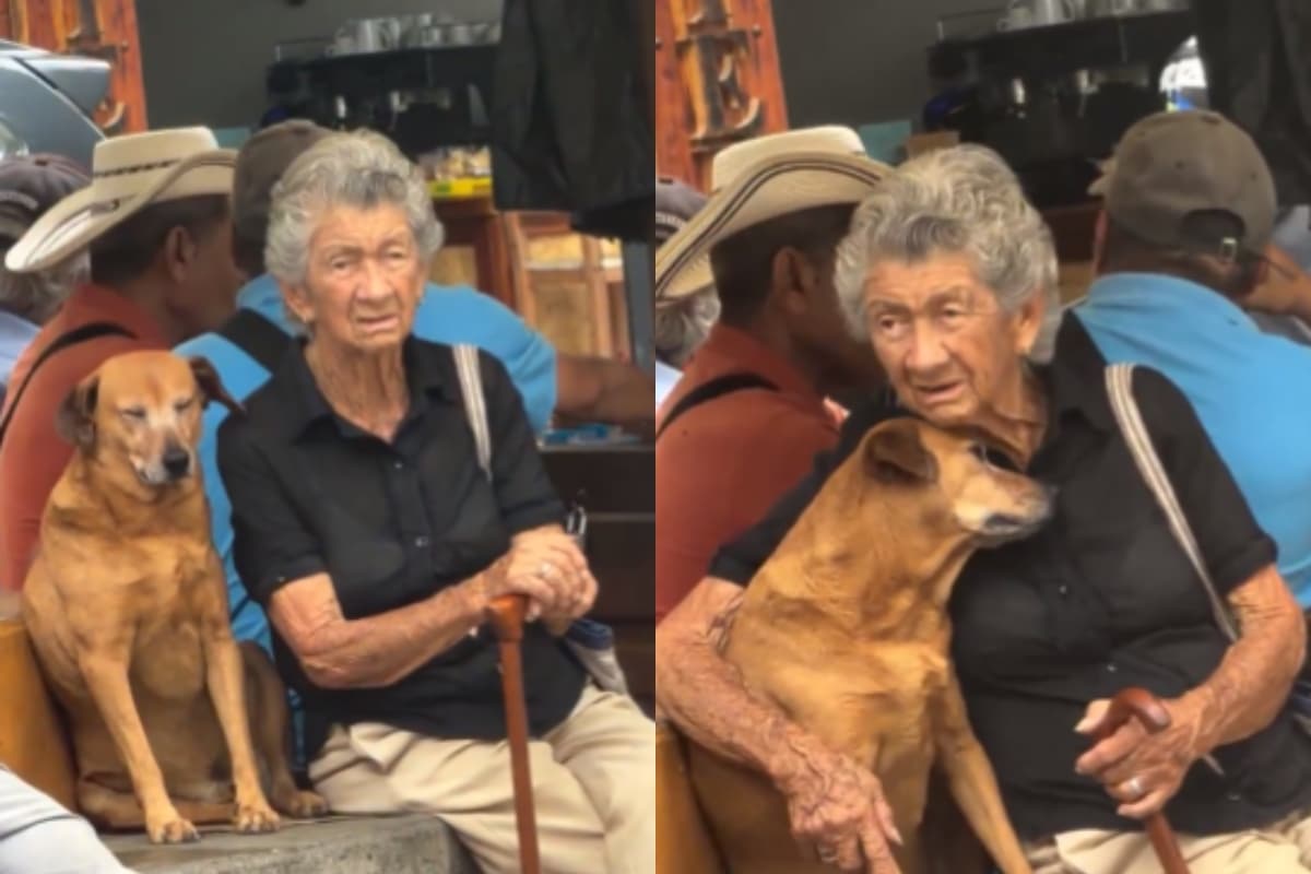 Abuelita y su perro protagonizaron un tierno momento que conmovió en redes: 