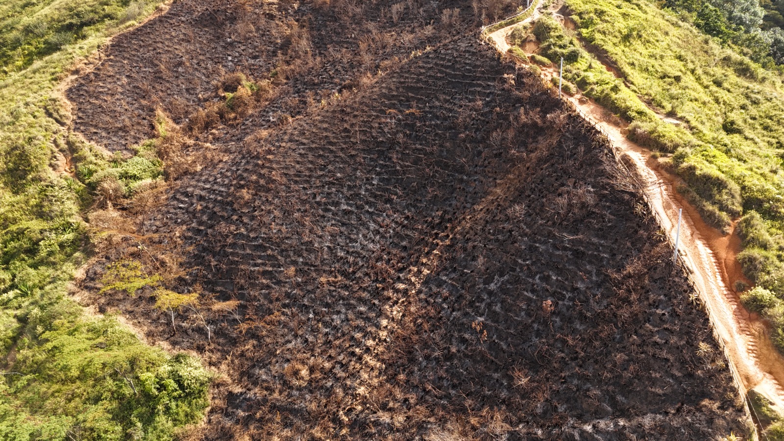 Así quedó el cerro de las Tres Cruces y La Somadera tras los recientes incendios