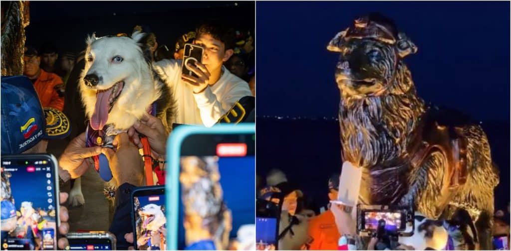 Homenaje a Tsunami, el perro rescatista de Venezuela