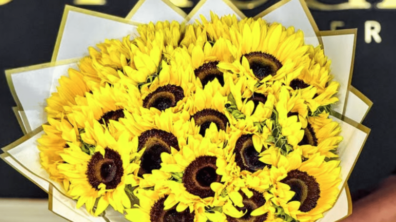 ¿Por qué se regalan flores amarillas el 21 de septiembre origen y significado de la tradición