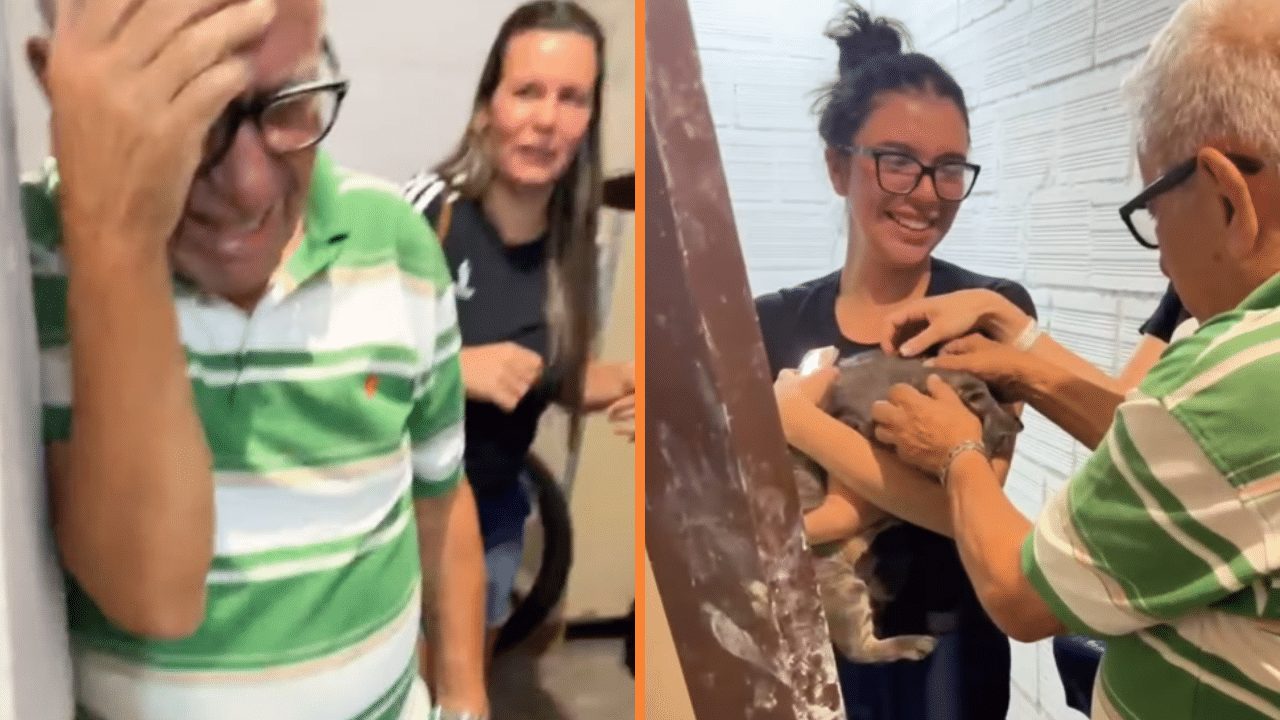 Qué le pasó a mi niño el conmovedor reencuentro de un abuelo con su gato tras el terremoto