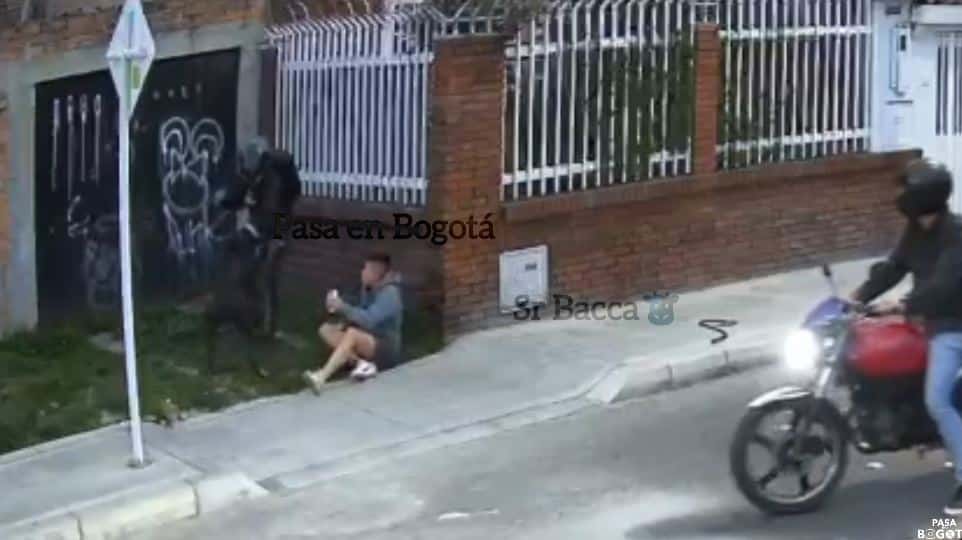 Todo un héroe Perro salvó a su dueño de los ladrones en Bogotá