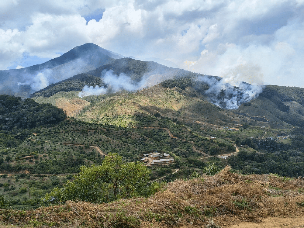 Antioquia experimenta temperaturas récord y aumenta el riesgo de incendios forestales