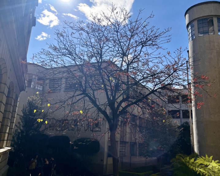 Esto dicen autoridades y desde la academia sobre protocolo para ingreso de Fuerza Pública a universidades