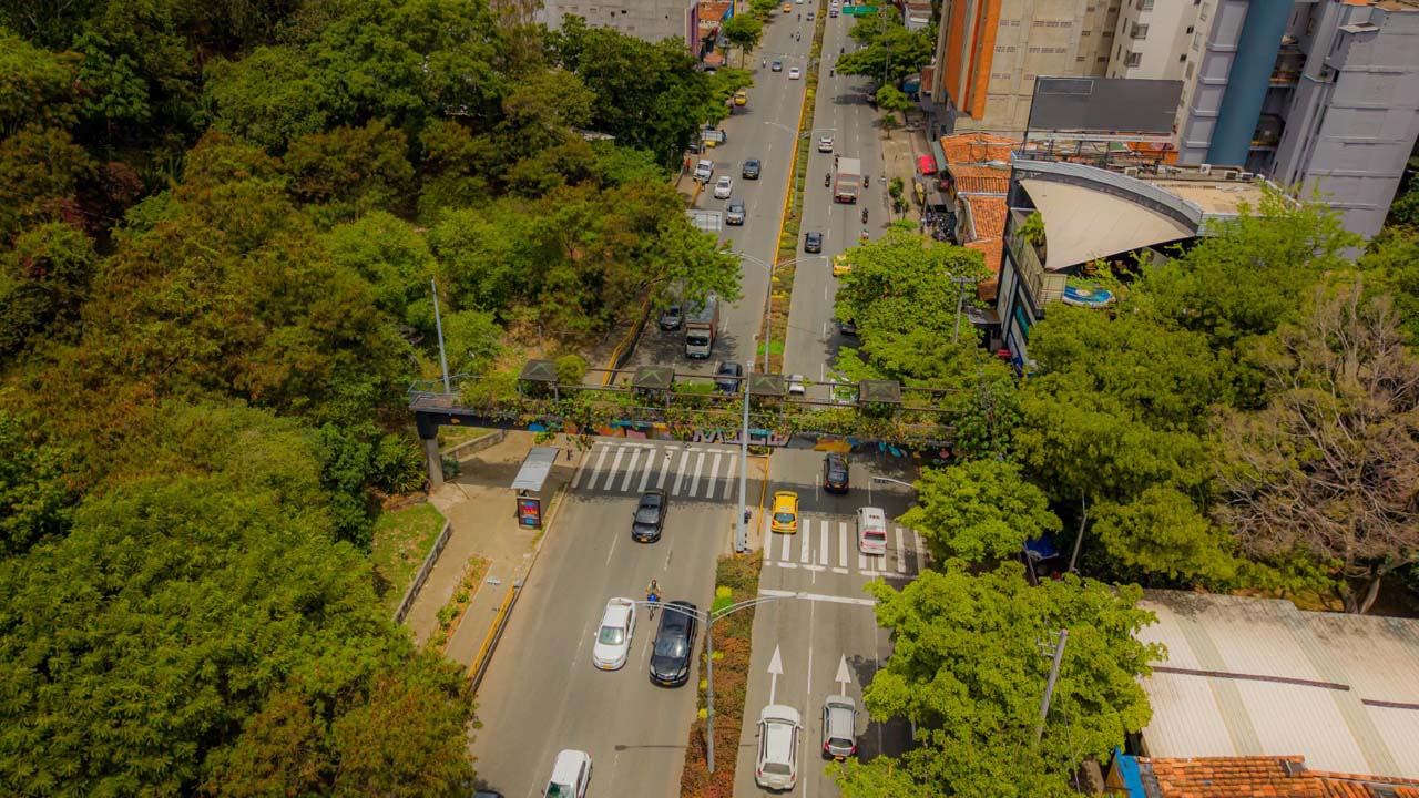 Medellín recibe reconocimiento nacional de WWF por su Plan de Acción Climática