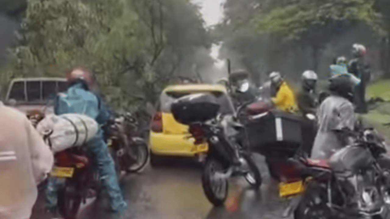 Congestión en la avenida Regional por caída de árbol en Medellín