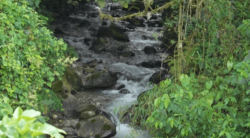 Crean pacto por la seguridad hídrica de Medellín para cuidar el agua en una ruta de 10 años