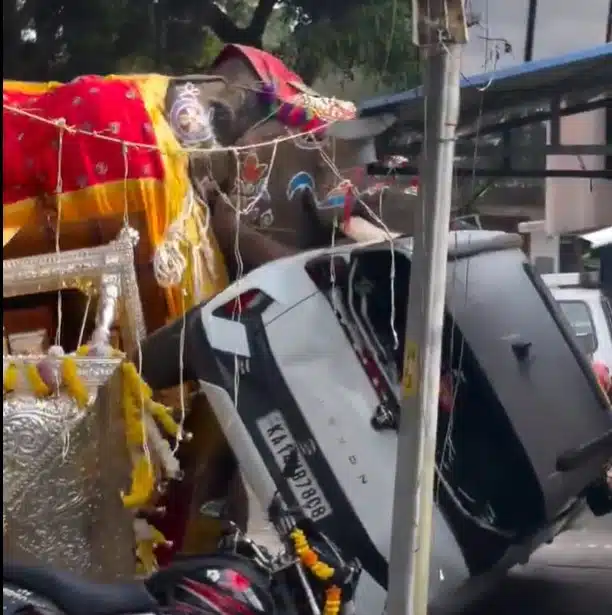 Elefante causa caos en la India