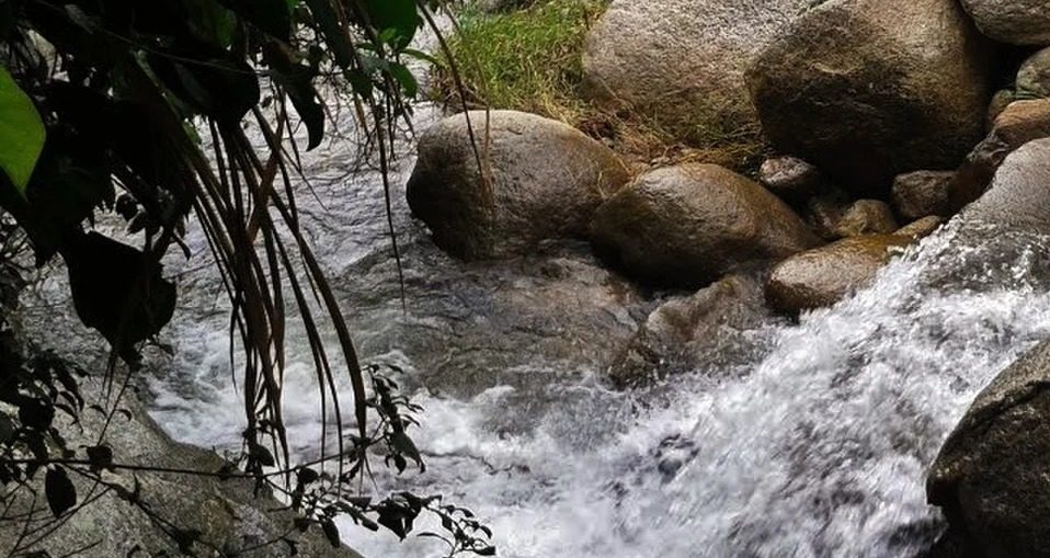 Identifican adolescente de 15 años que se ahogó en el río Sauce en Santa Rosa de Osos