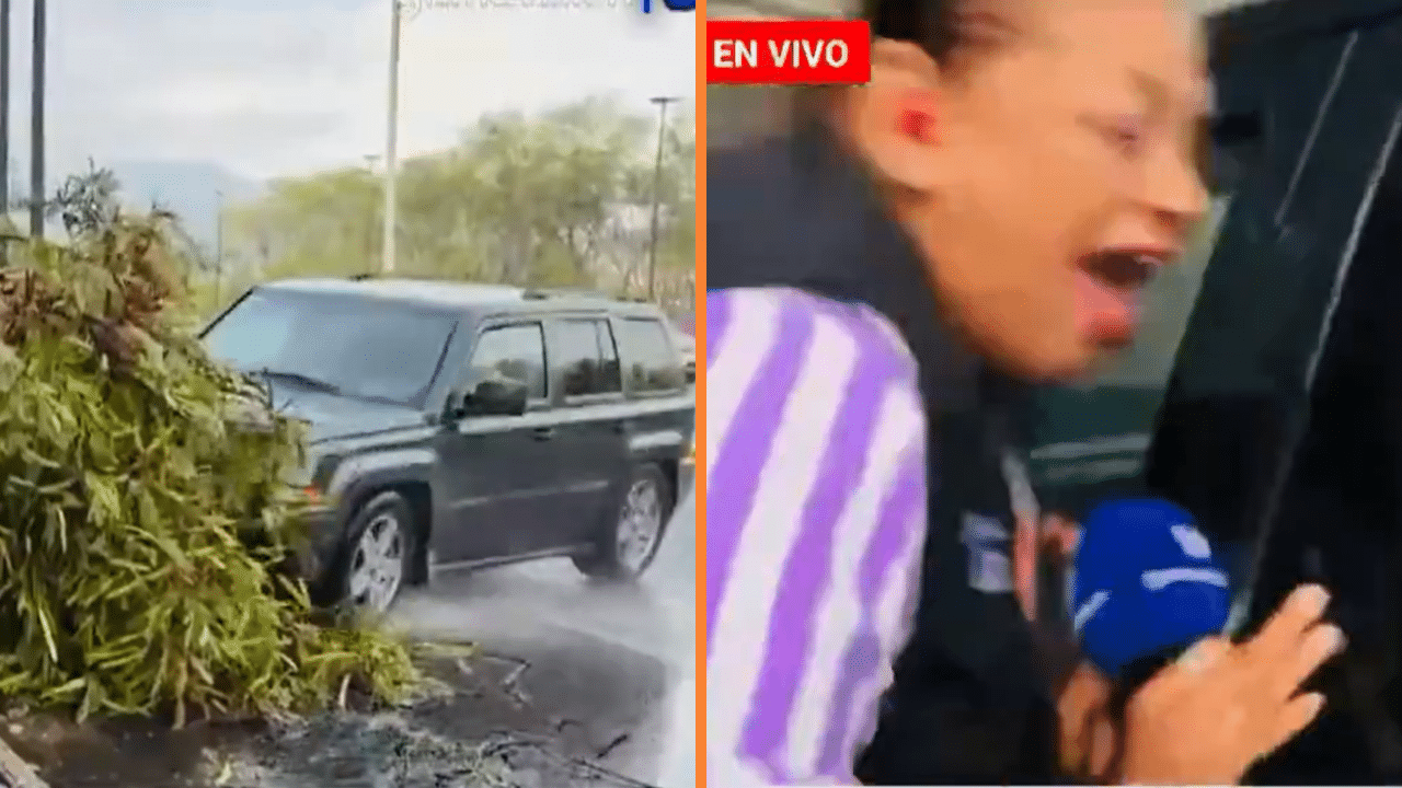 Impresionante video: vehículo fuera de control arrolla a reportera y camarógrafo mientras transmitían en vivo